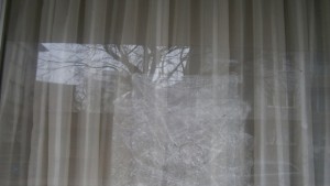 Счупиха отново прозорецът на офиса на БСП в Кюстендил