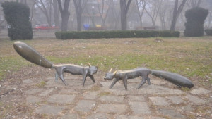 Пак посегнаха на лисичките в парка на Видин