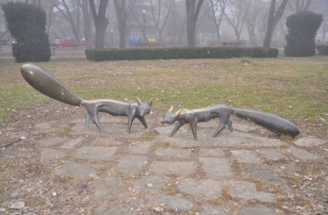 Пак посегнаха на лисичките в парка на Видин