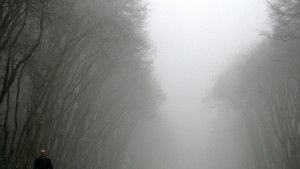 Мъгла блокира трафика по суша въздух и вода във Варна