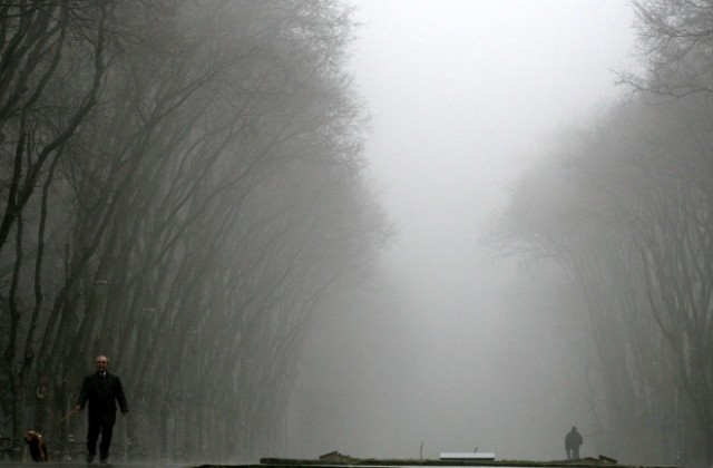 Мъгла блокира трафика по суша, въздух и вода във Варна