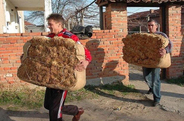 Тютюнопроизводители блокираха пътя за Гърция