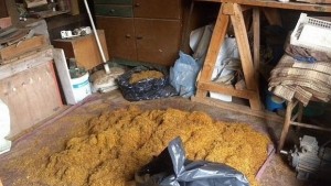 Полицията разкри незаконен цех за преработка на тютюн