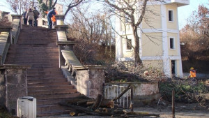 Изсякоха над 50 дървета около Водната кула