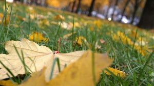 Остава топло за сезона с температури до 1314