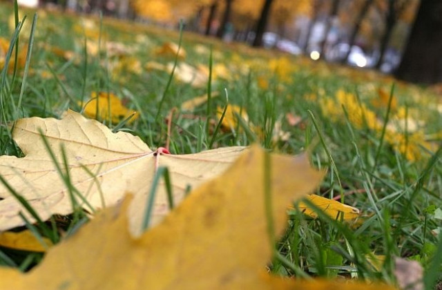 Остава топло за сезона, с температури до 13-14°