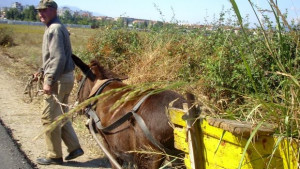 Обещават промени в петричката полиция
