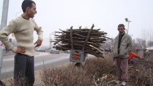 Роми събират клони от орязаните дървета до Водната кула