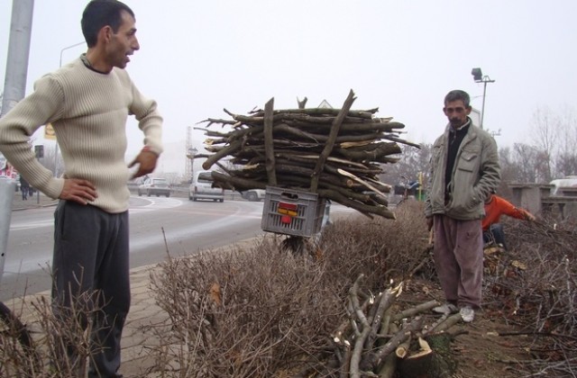 Роми събират клони от орязаните дървета до Водната кула