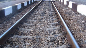 Влак прегази русенка