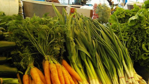 Търг за терени за кафе аператив и павилиони за плодове