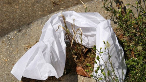 Идва ли краят на найлоновите торбички