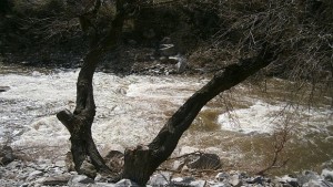 Експерти съветват да пестим водата за да не се стигне