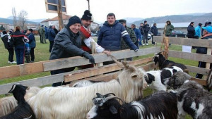 Породисти животни дефилират край Крупник