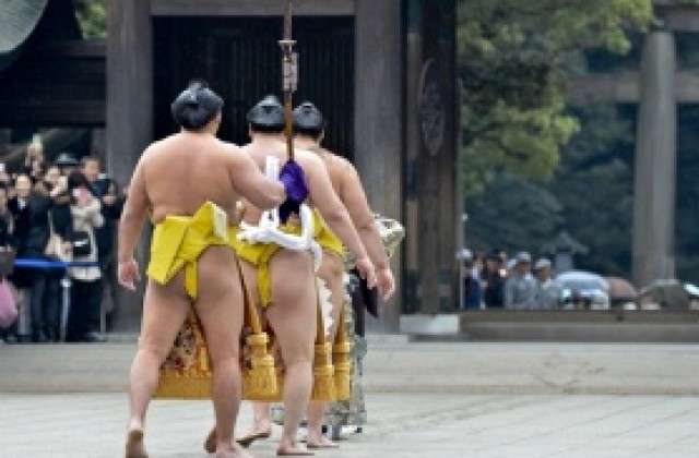 Българите със загуби и в седмия ден на Хацу башьо