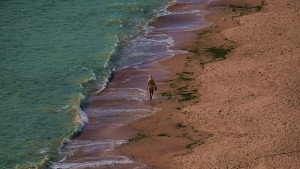 Концесионери прогнозират фалити по морето без промени в закона