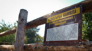 Рекорден брой посетители в зоопарка заради топлото време