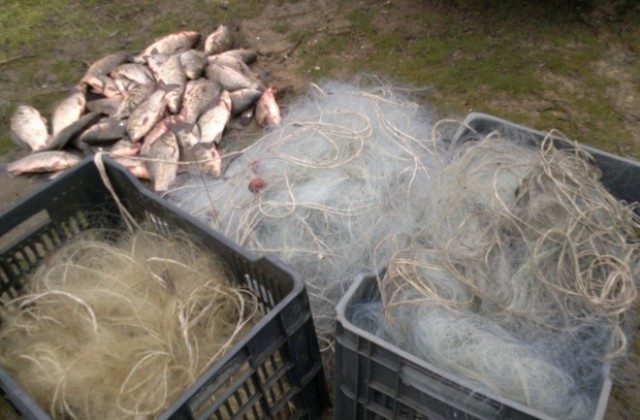 Иззеха 1 километър бракониерска мрежа