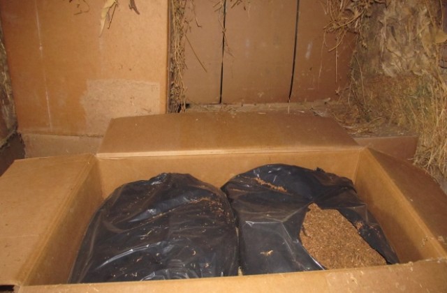 Над два тона нелегален тютюн иззеха от селска къща