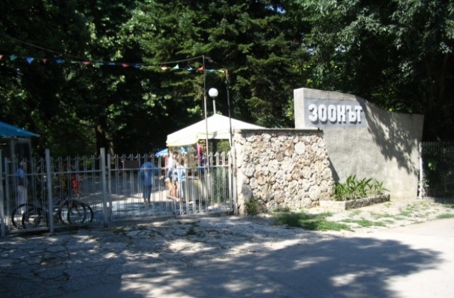 Зоопаркът във Варна стартира осиновителна кампания за своите бебета