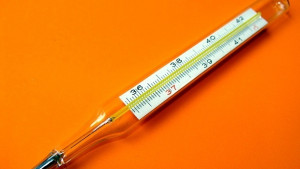 Обявяват грипна ваканция в две севлиевски училища