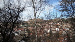 Обновяват Ловния дом в Благоевград
