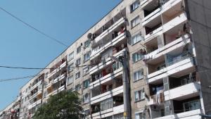 Две изоставени братчета отново при майка си една от многото