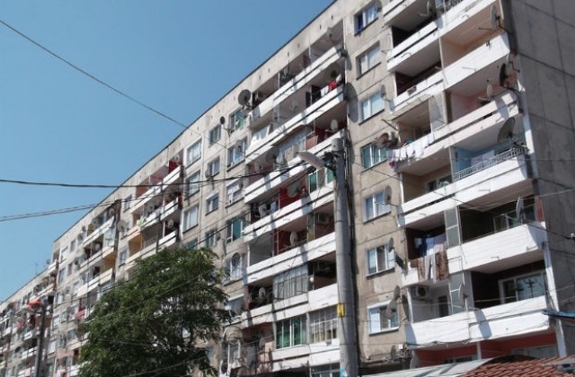 Две изоставени братчета отново при майка си - една от многото истории с успешен край