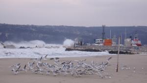 Синоптиците предупреждават за обилни валежи и силен вятър