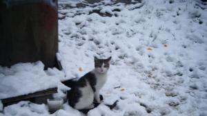 Предупреждават за потенциално опасно време температурите падат още