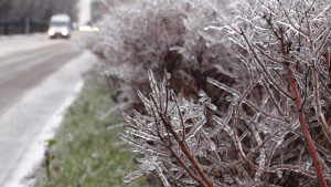 Варна осъмна в лед