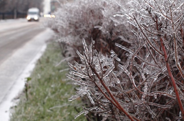 Варна осъмна в лед