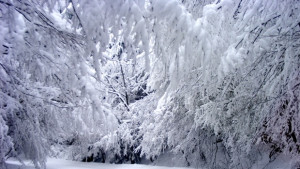 Проходът Шипка е проходим снежната покривка достига 30 см