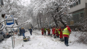 Над 460 жени и 60 машини борят снега