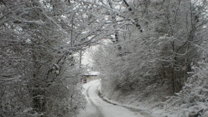 Пътищата в община Севлиево са почистени и проходими