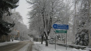 30 см е снежната покривка на Паничище