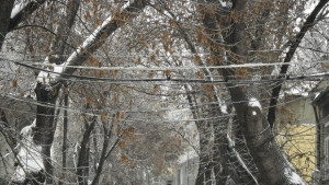 Стотици варненци се оплакват от токови удари