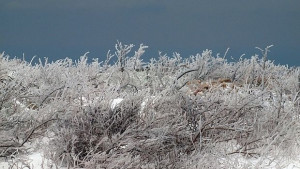 Температурата във Варна пада до 11 градуса през нощта