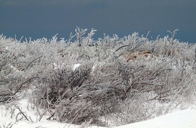 Облечете се топло, температурите остават отрицателни
