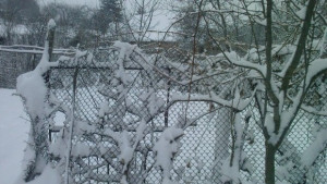 Зимната обстановка на 28 януари