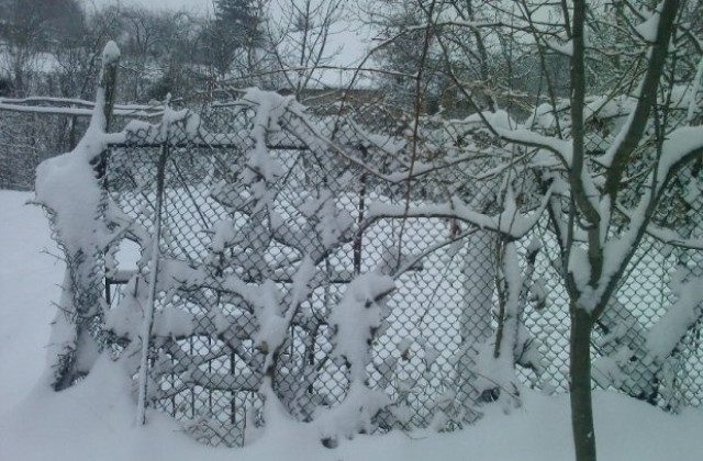 Зимната обстановка на 28 януари