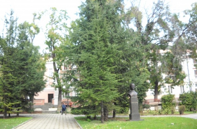Какво, къде, кога в Стара Загора