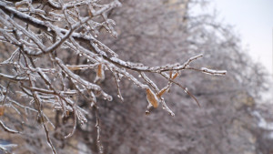 Отново ще вали очакват се поледици във Варненско