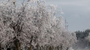 Жълт код за Русенска област заради силен вятър и снеговалеж