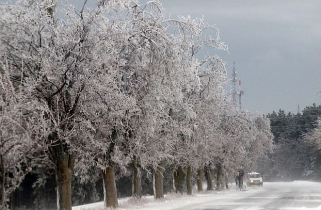 Жълт код за Русенска област заради силен вятър и снеговалеж