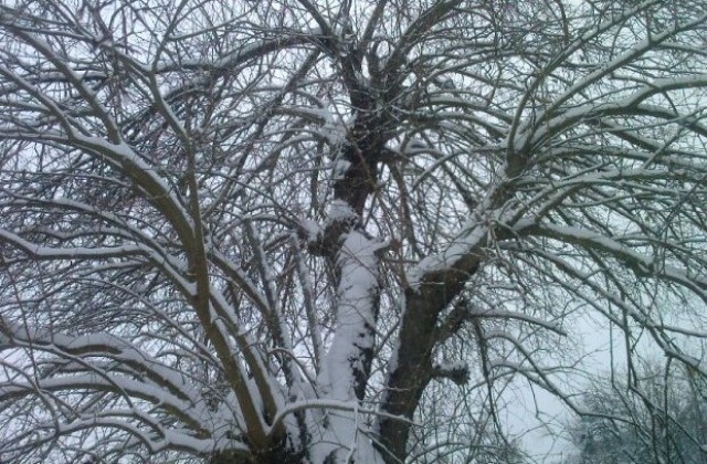 Пътят до Узана е почистен, Шипка - проходим при зимни условия