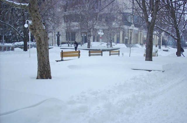 Всички квартали в Добрич се почистват