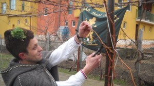 Конкурс за най добро червено вино за Трифон Зарезан