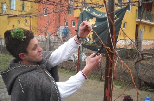 Конкурс за най- добро червено вино за Трифон Зарезан