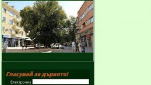ГЕРБСливен Да гласуваме за Стария бряст